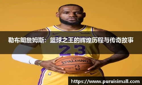 jn江南·体育登录入口